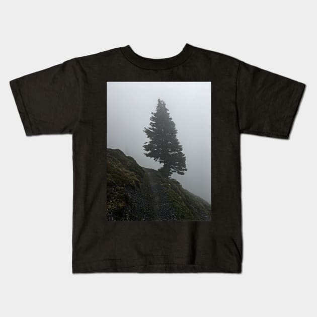 Solitary tree on a misty mountain top Kids T-Shirt by Dturner29